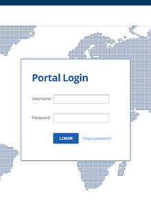 online-portal-development